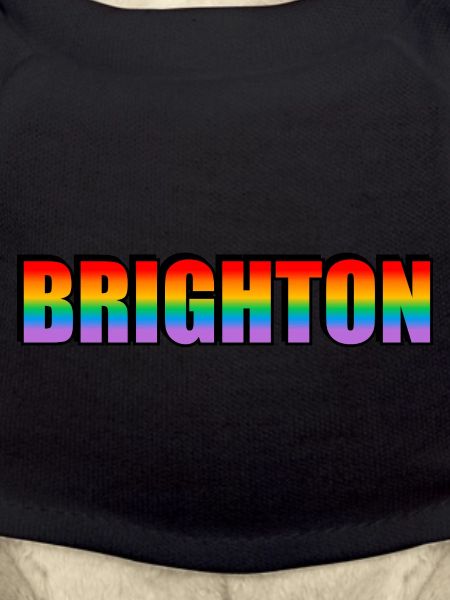 Brighton Rainbow LGBTQ Pride Monat