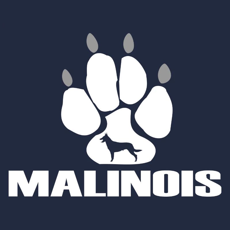 Malinois Belgian Shepherd dogs paw