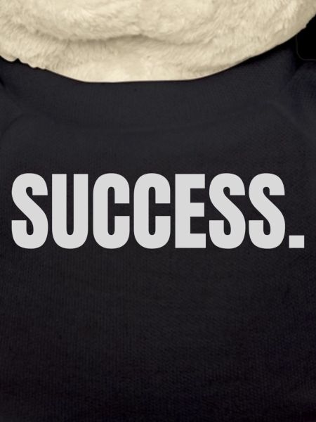 Success Bestseller