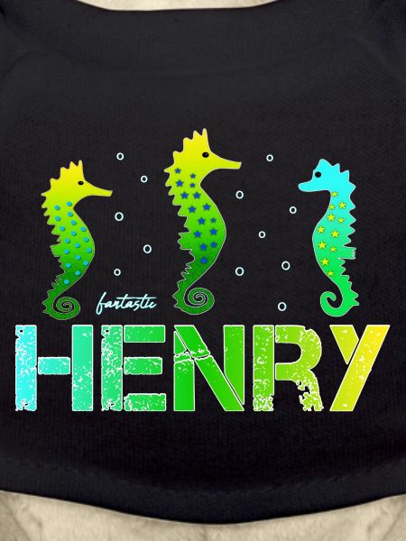 Henry Birthday Henry