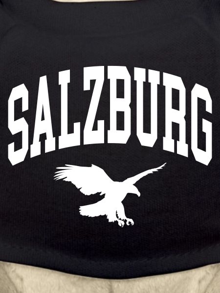 Salzburg Eagle
