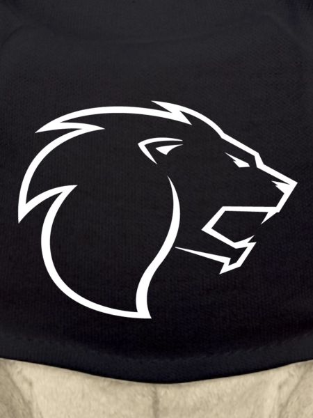 Lionzone