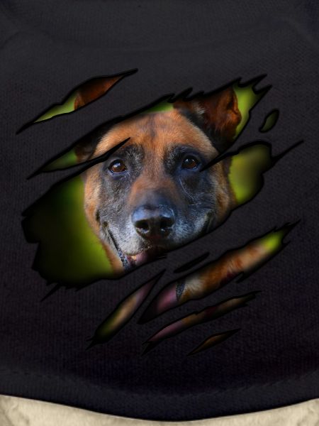 Malinois in me