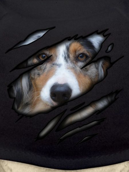 Australian Shepherd in me