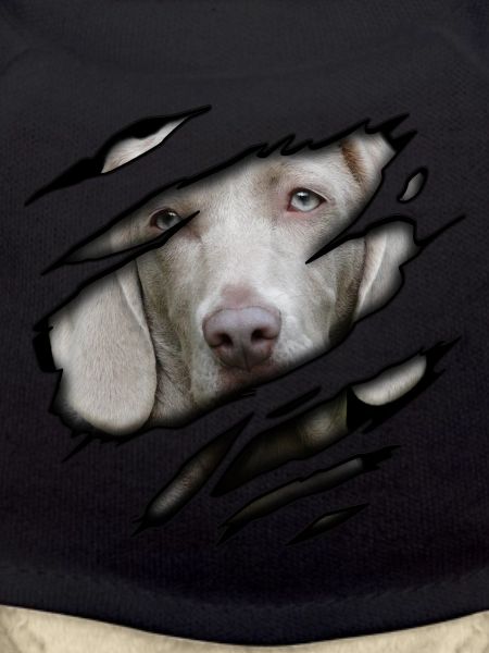 Weimaraner in me