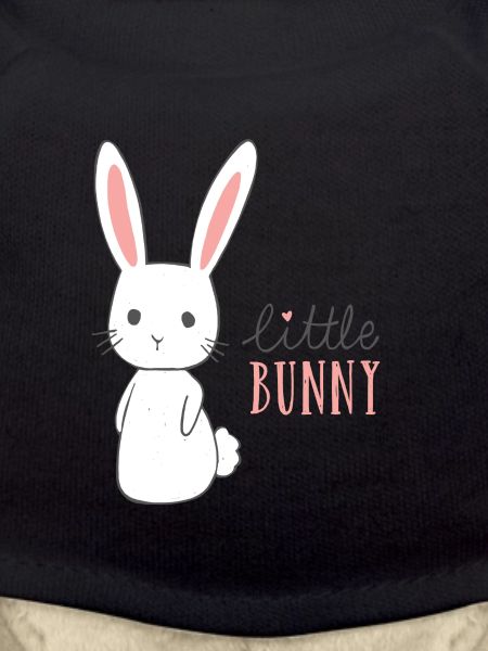 Conception de lapin