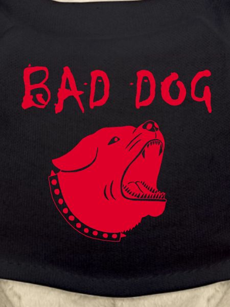 Wicked dog