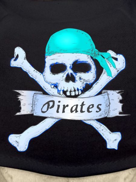 Pirate skull