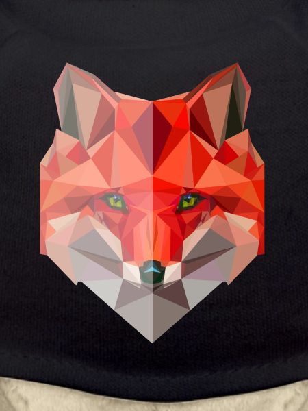 Fuchs Polygon