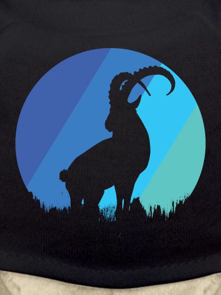 Capricorn