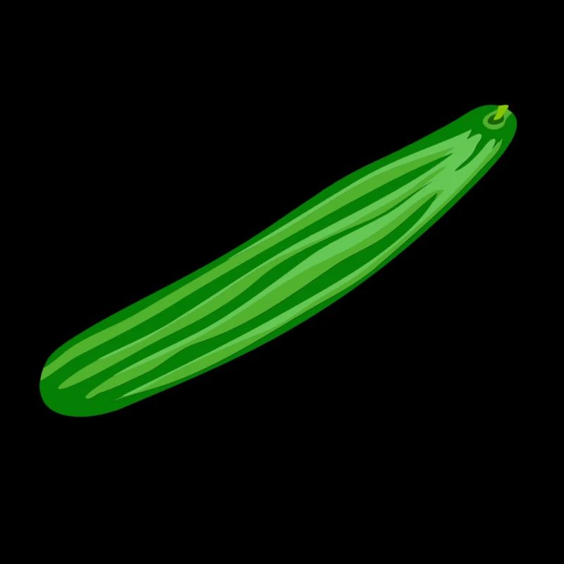 Gurke salatgurke Einlegegurken Kukumer Gartengurke