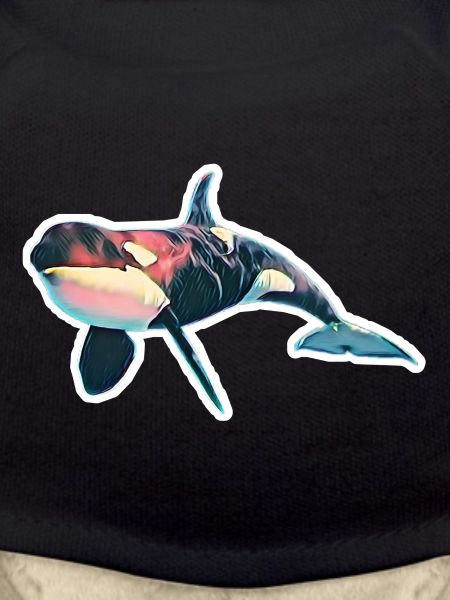 Orca