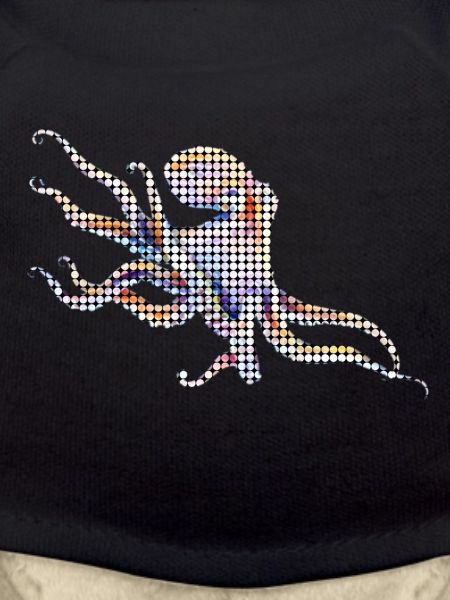 Oktopus