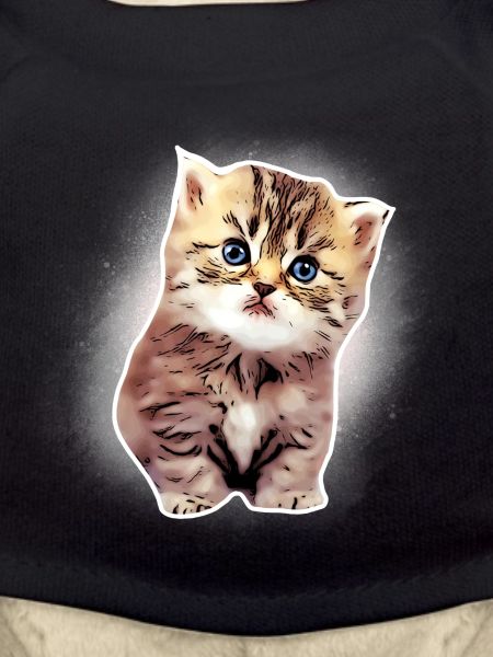 Bébé chat
