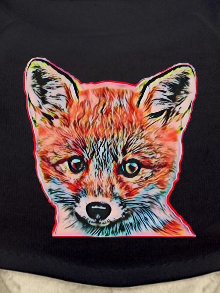 Renard