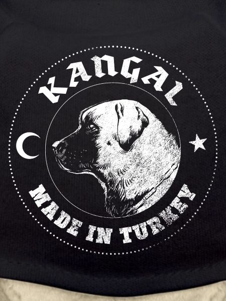 Kangal