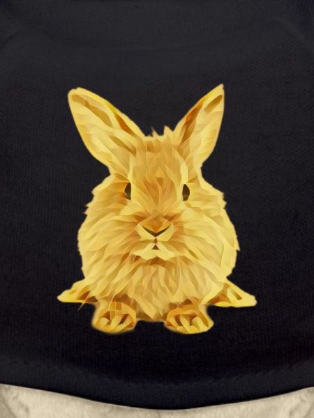 Hase