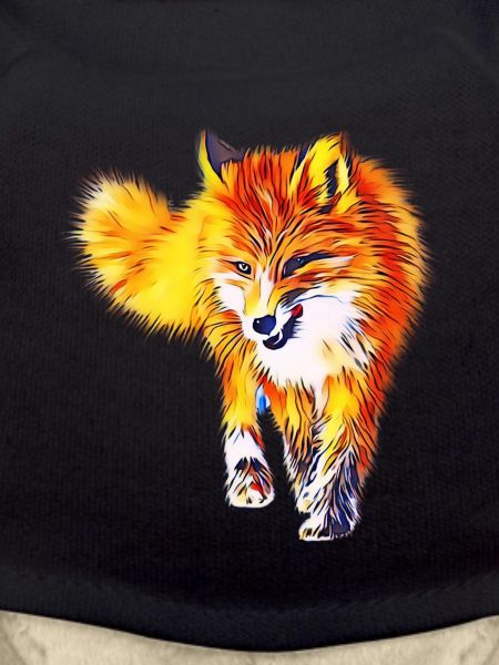 Renard