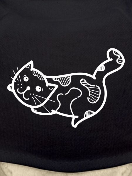 kitten