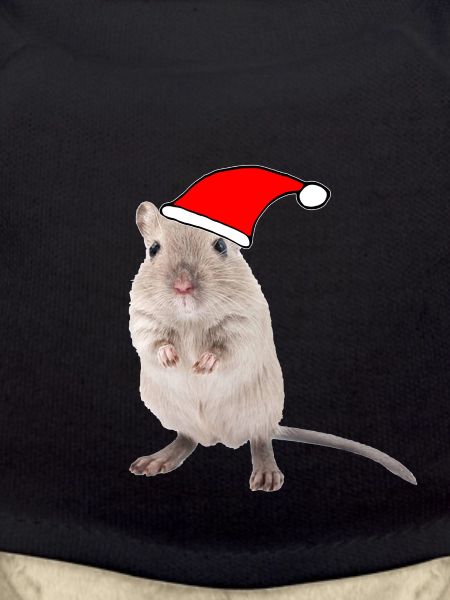 Gerbil with Christmas cap