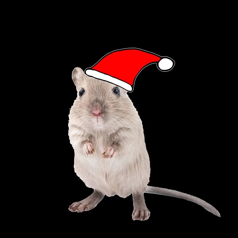 Souris de course avec bonnet de Noël