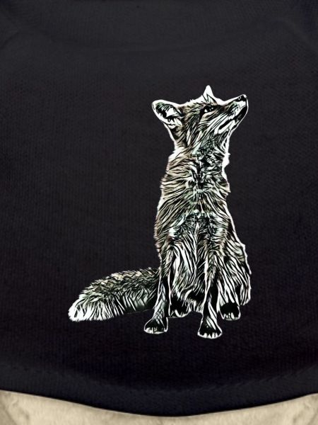 Fuchs