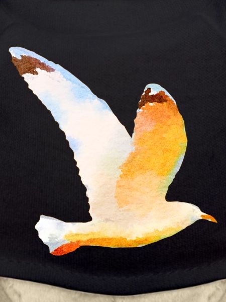 gull