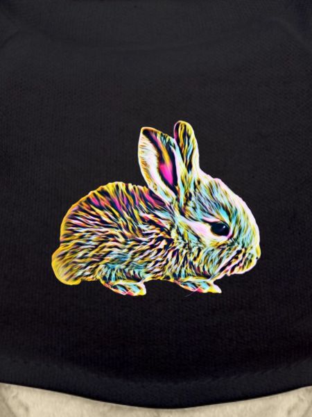 Lapin