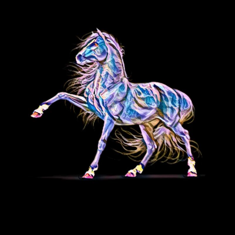 Pferd Hengst