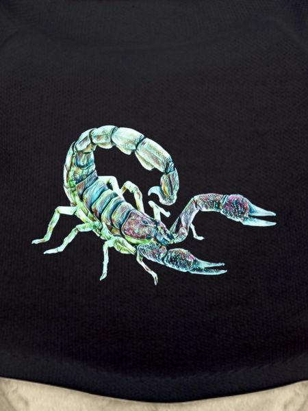 Scorpio