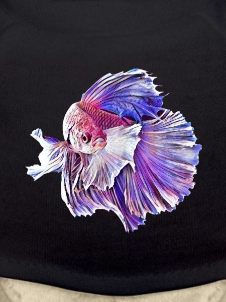 Fighting fish
