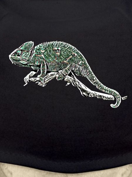 chameleon