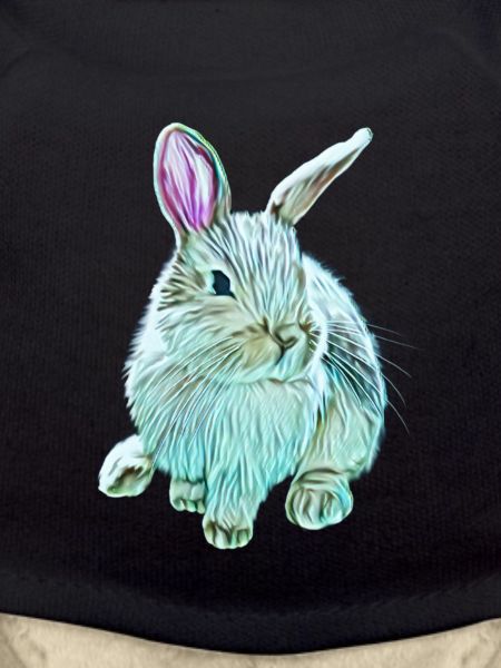 Rabbit