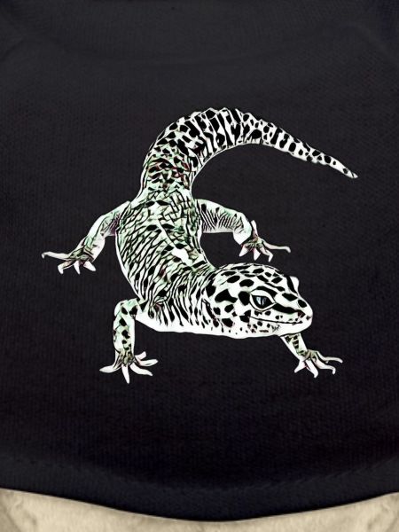 Gecko