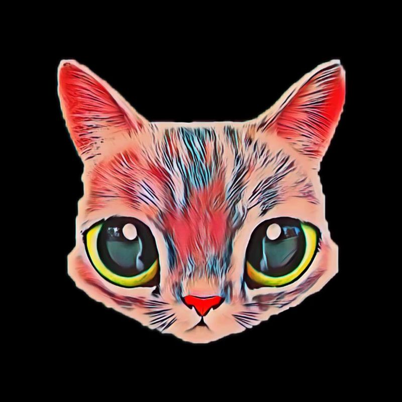 Chat