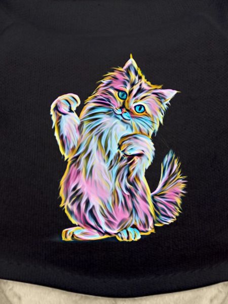 Main Coon