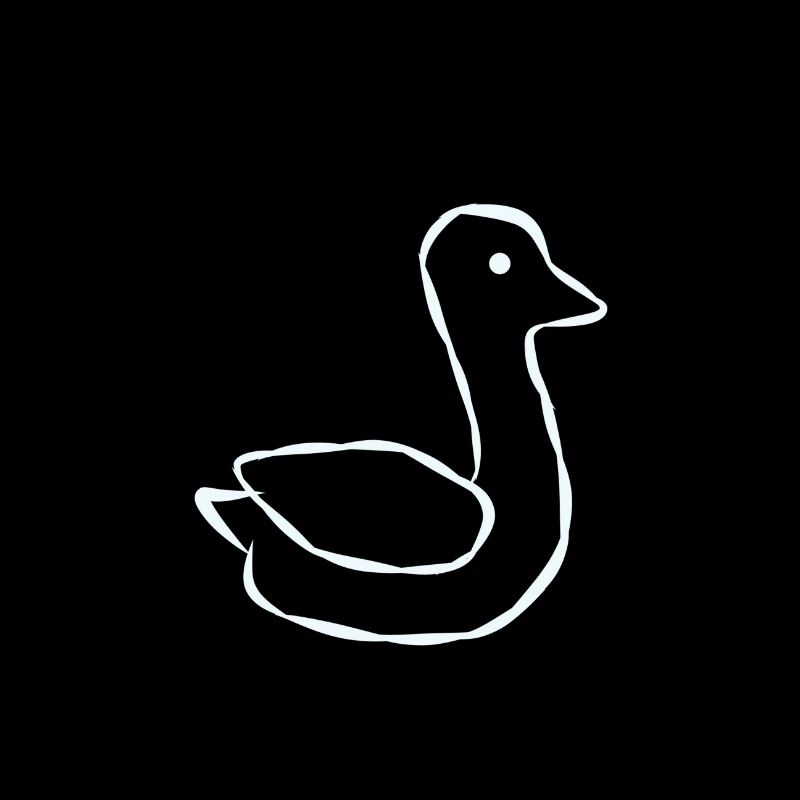 Duck animal