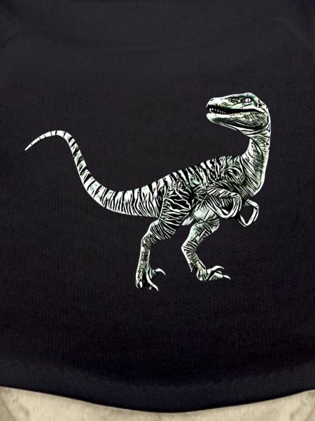 Velociraptor