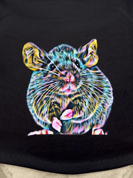 Ratte