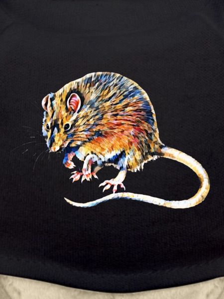 rat