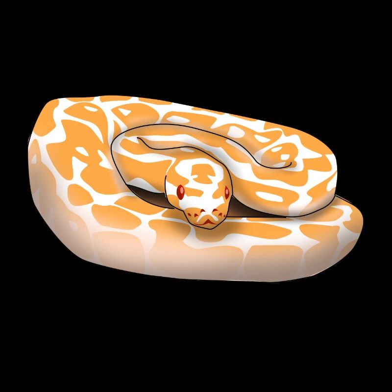 Lavender Albino Ball Python (Python regius) Schla