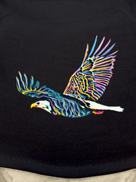 Aigle