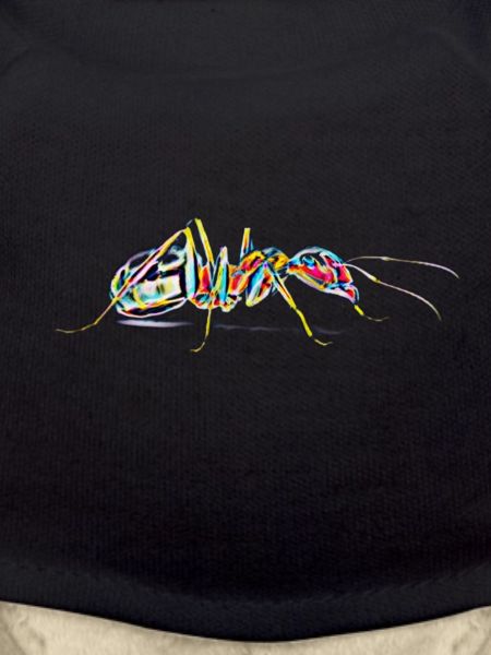 ant