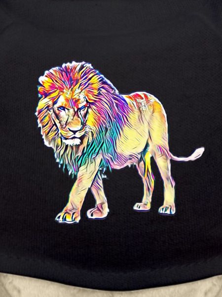 lion