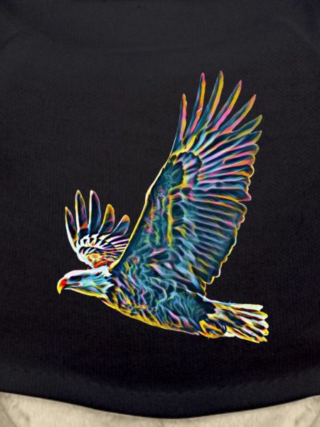 Aigle