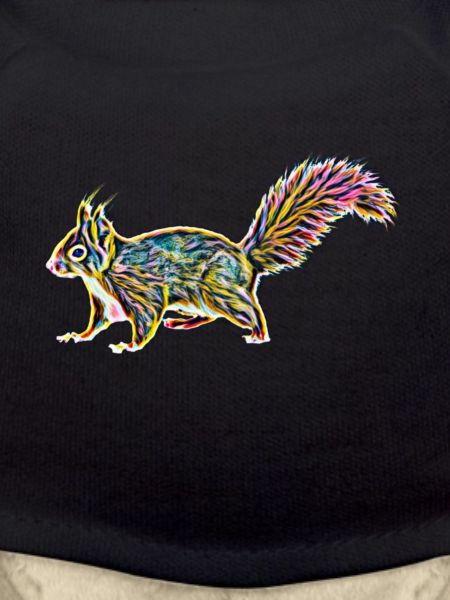 squirrel