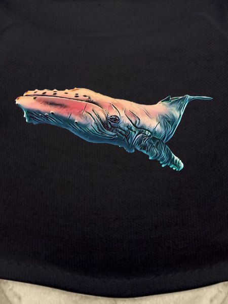 Humpback whale