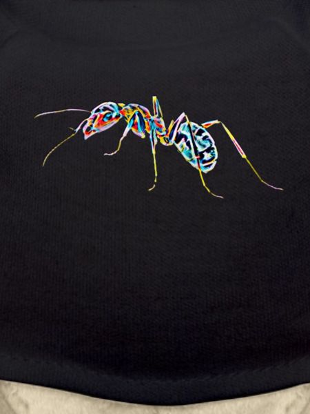 ant