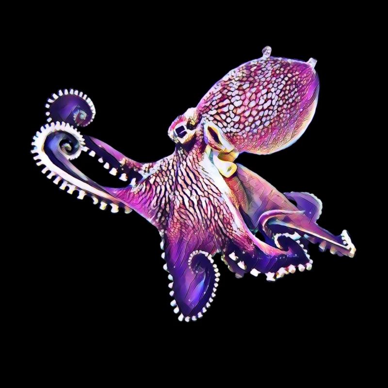 Octopus