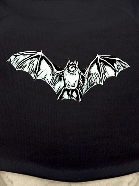 bat